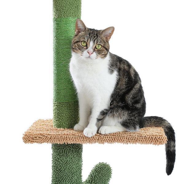 Cat Tree/Tower Scratching Post Scratcher Condo House Ceiling High Green